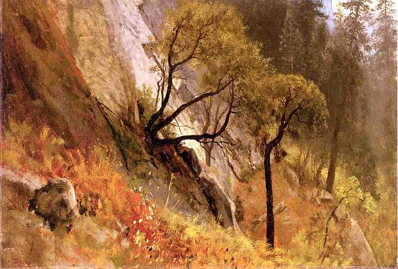 Landscape Study, Yosemite California